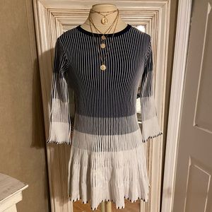 NWT Ribbed Ombré flair dress